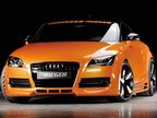      Audi TT 8J  Rieger