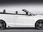     Audi A3 8P 06-  Caractere