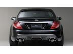   Black Bison  Mercedes-Benz CL-Class W216  Wald